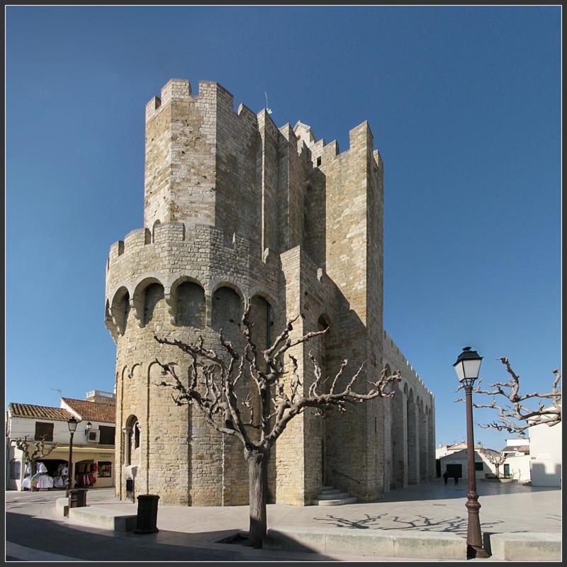 Beauvoisin  Camargue 빌라 외부 사진