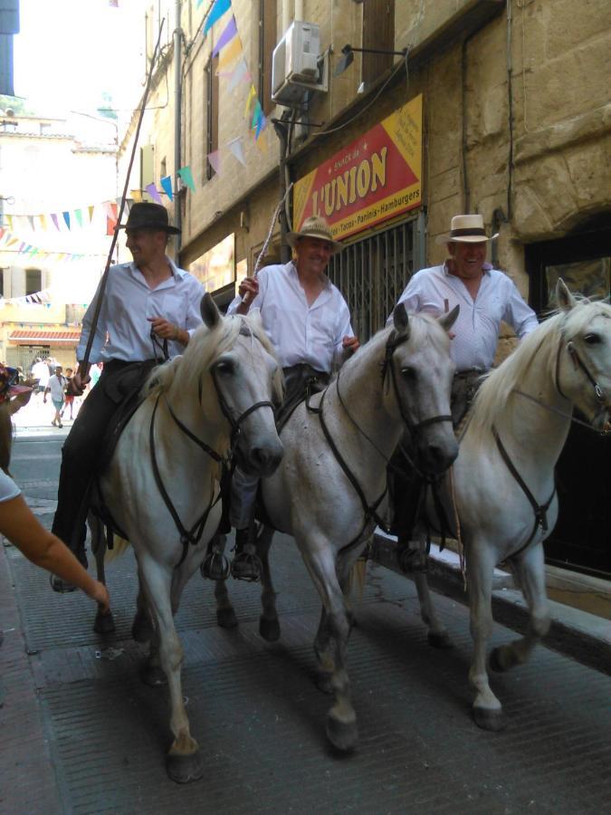 Beauvoisin  Camargue 빌라 외부 사진